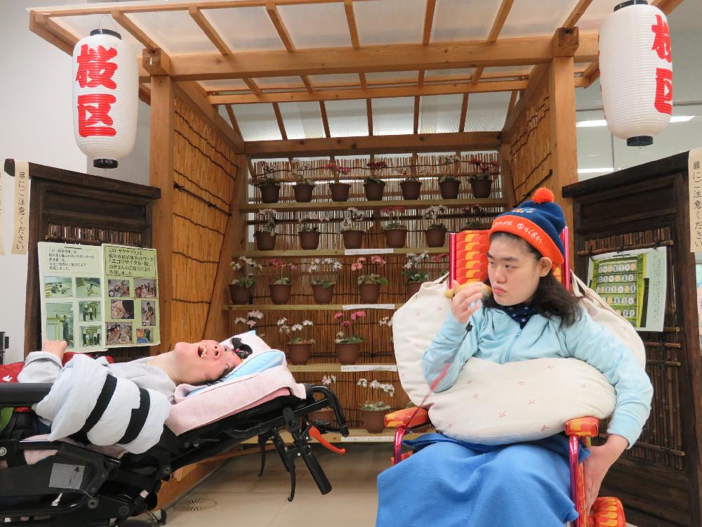 桜区の花「サクラソウ」の前で